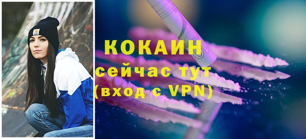 mdpv Богородицк