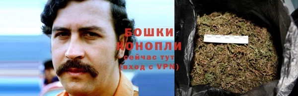 винт Богданович