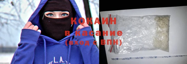 mdpv Богородицк