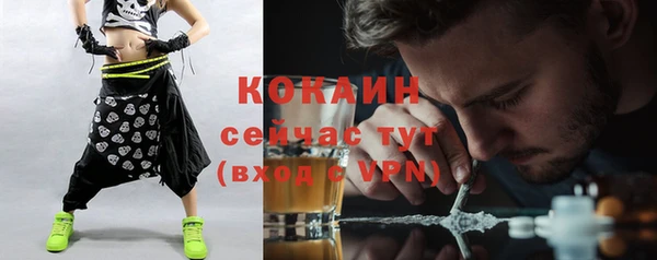 винт Богданович