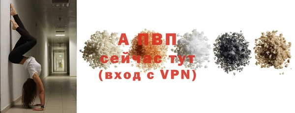 винт Богданович