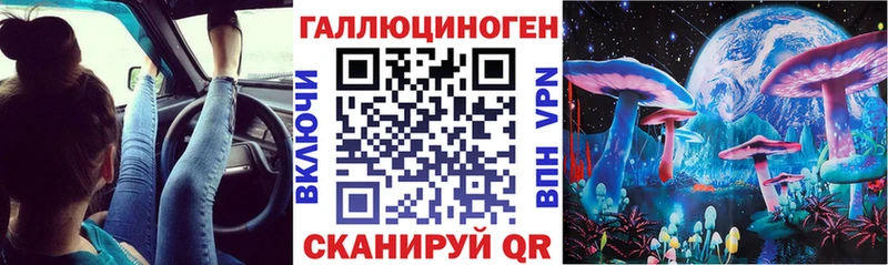 где продают   Дюртюли  Галлюциногенные грибы Psilocybe 